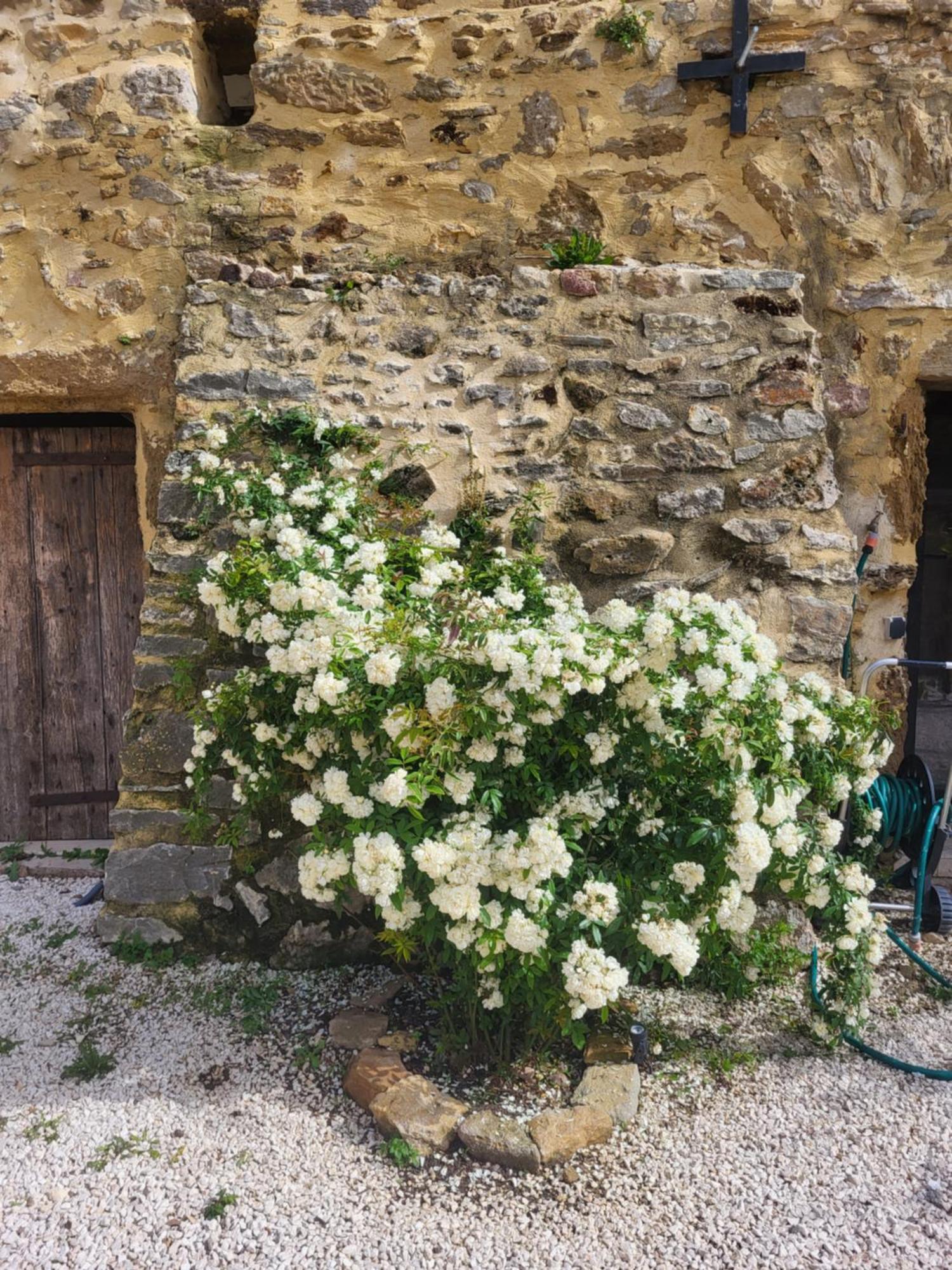 Bed and Breakfast Bastide De La Madeleine Pougnadoresse Экстерьер фото